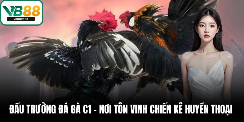 Đấu Trường Đá Gà C1 – Nơi Tôn Vinh Chiến Kê Huyền Thoại 1 Đá gà C1