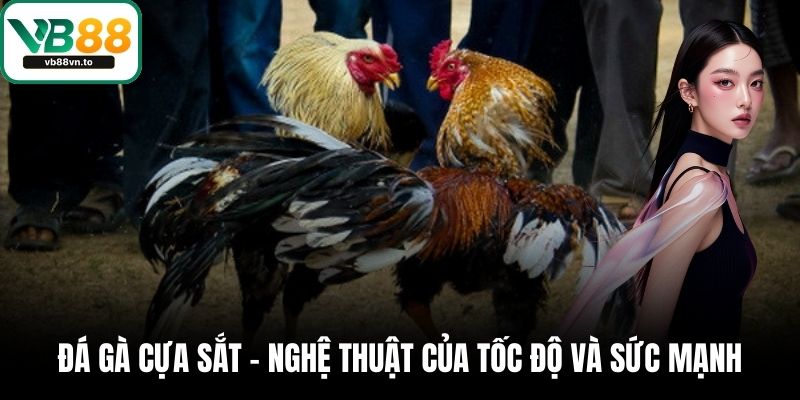 Đá Gà Cựa Sắt – Nghệ Thuật Của Tốc Độ Và Sức Mạnh Tại VB88 1 Đá gà cựa sắt
